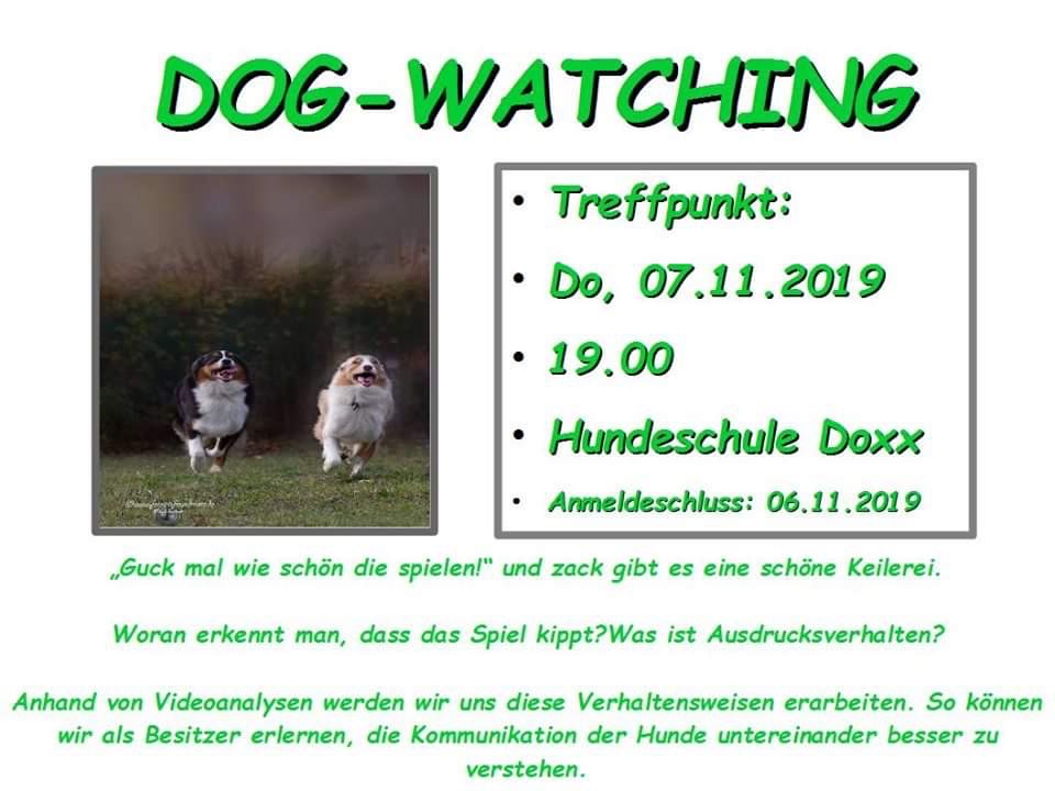 Dogwatching 20191107