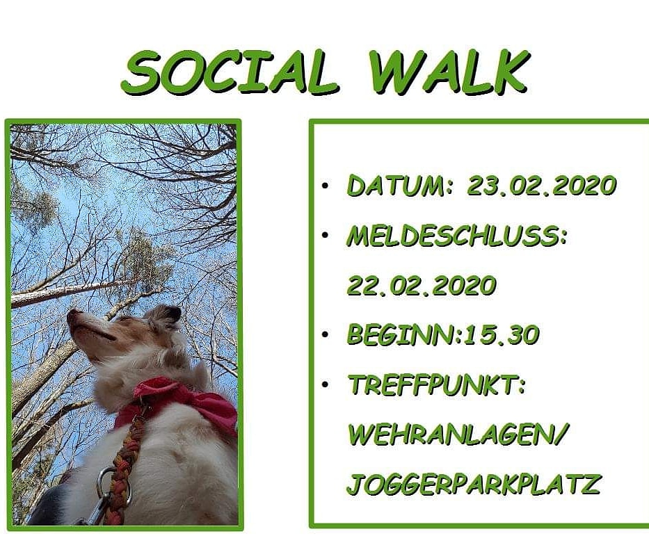 Social Walk 2020 02 23